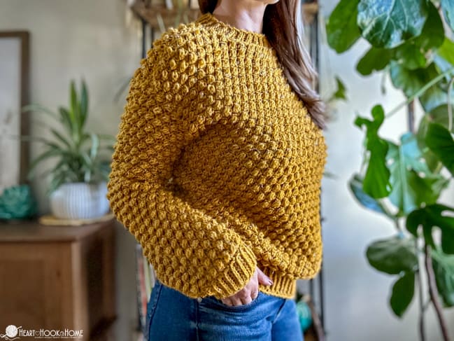 Example of Wild Berry Pullover