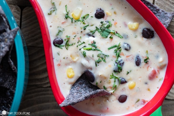 The best cheese salsa dip