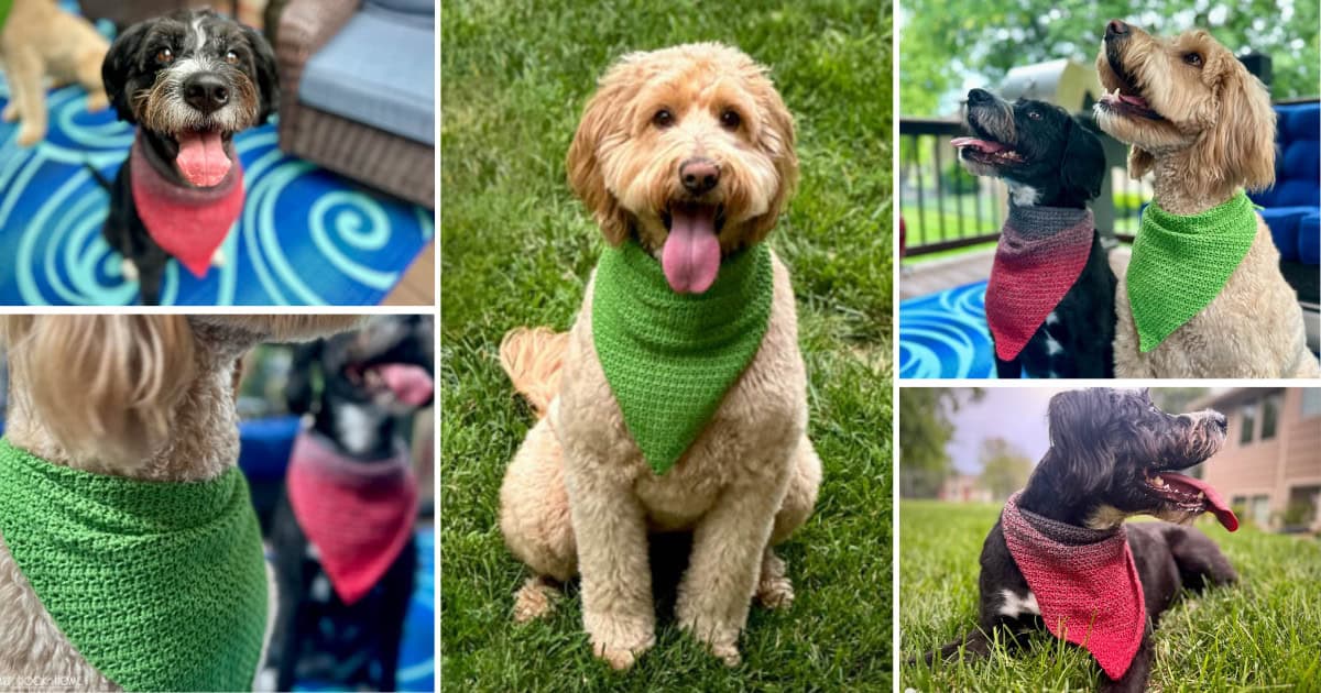 dogs wearing crocheted bandanas