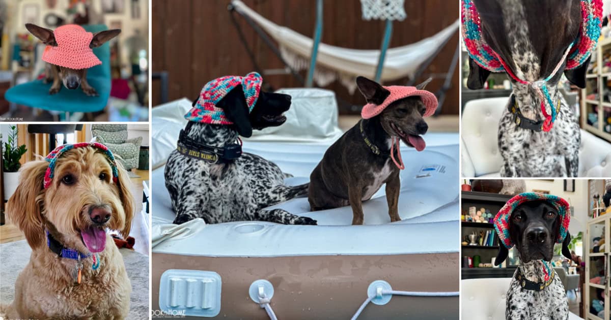 Dog Bucket Hat Free Crochet Pattern