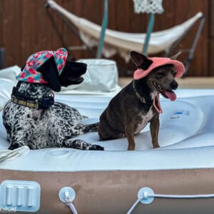 Dog Bucket Hat (Printable Version)