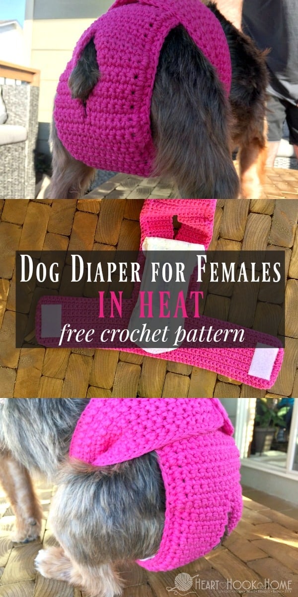 Dog Diaper for Females in Heat