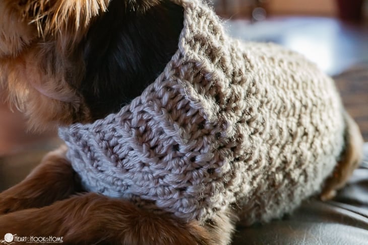 extra small size dog sweater pattern