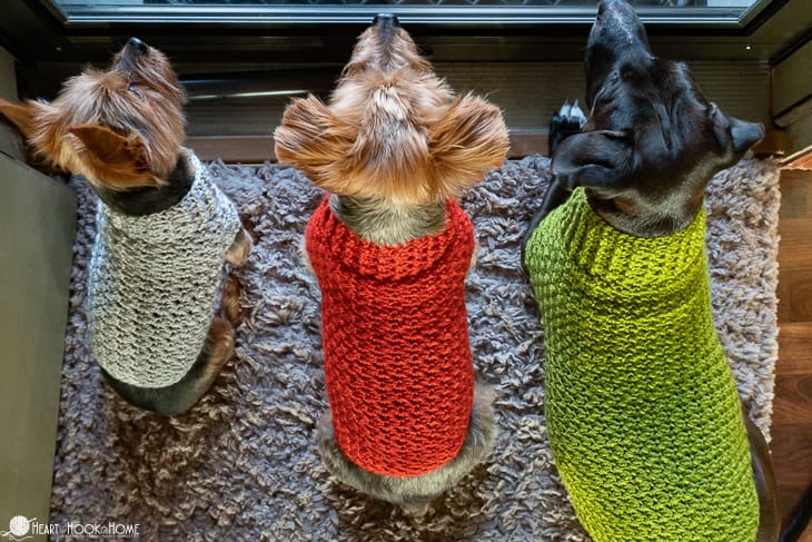 free Dog Sweater crochet pattern