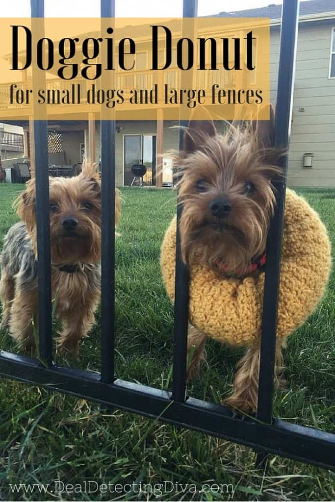 Two small dogs behind a wrought iron fence with one wearing a gold example of the Doggie Donut Dog Collar crochet pattern.