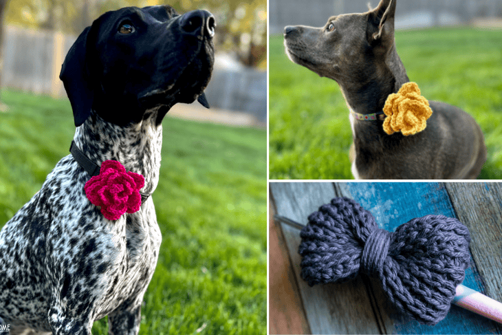 dog bow tie or flower collar free crochet pattern
