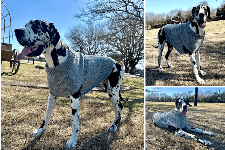 free crochet giant dog sweater pattern