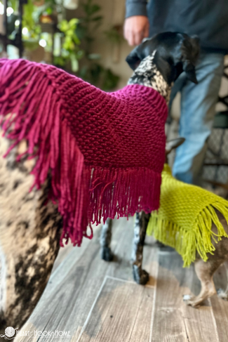 Green and purple examples of the Easy Dog Poncho crochet pattern on a small brown dog and a large black and white dog.