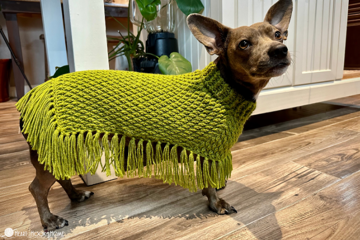 green crochet dog poncho