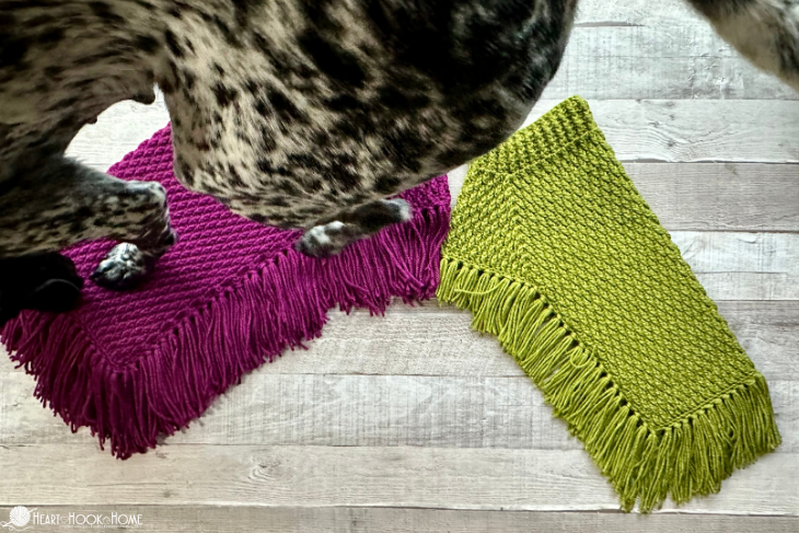 Green and purple examples of the Easy Dog Poncho crochet pattern with a black and white dog stepping on them.