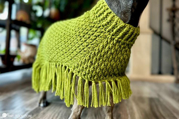 Green example of an Easy Dog Poncho crochet pattern on a small brown dog.