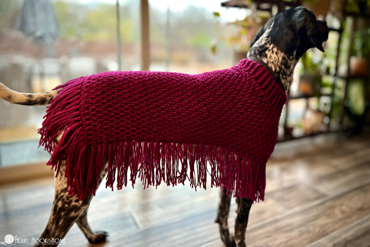 dog wearing pink crochet coat