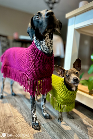 pink and green crocheted dog ponchos with fringe