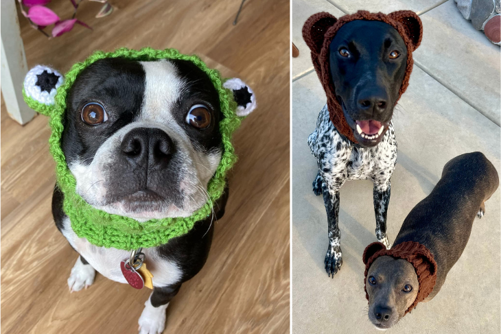 Boston Terrier wearing a frog version of the Dog Snood crochet pattern next to a German Short Haired Pointer and a small brown dog both wearing brown bear versions of the Dog Snood crochet pattern.